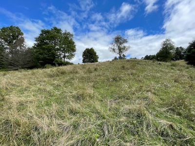 Land for Sale with Country Views in Carroll County VA! - image 12