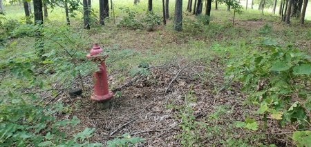 Arkansas Ozarks Country Home on Acreage For Sale - image 16
