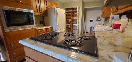 Arkansas Ozarks Country Home on Acreage For Sale - image 1
