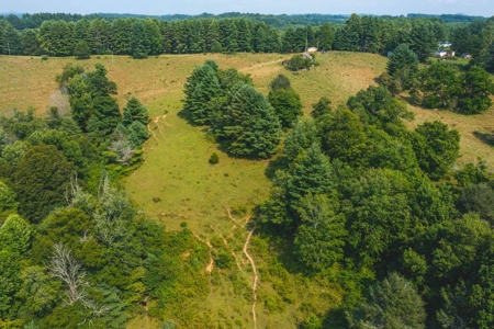Land with Creek Frontage for Sale in Dugspur VA! - image 6