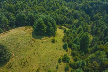 Land with Creek Frontage for Sale in Dugspur VA! - image 5