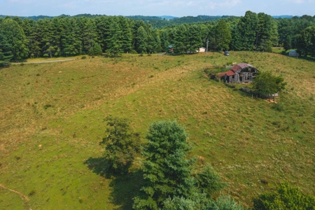 Land with Creek Frontage for Sale in Dugspur VA! - image 4