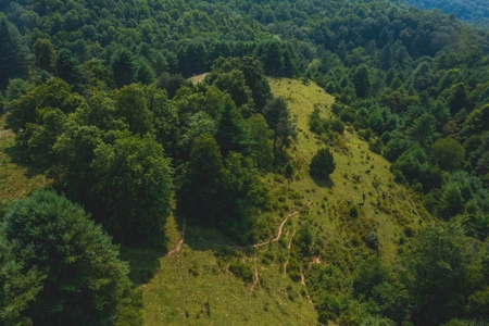 Land with Creek Frontage for Sale in Dugspur VA! - image 3