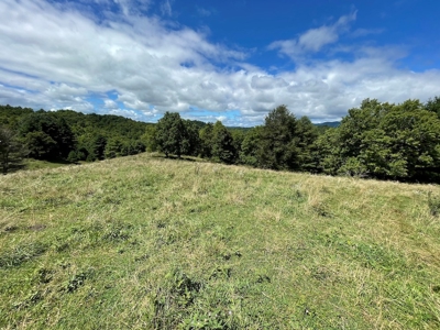 Land with Creek Frontage for Sale in Dugspur VA! - image 9