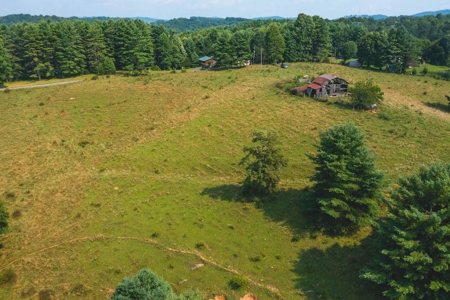 Land with Creek Frontage for Sale in Dugspur VA! - image 7