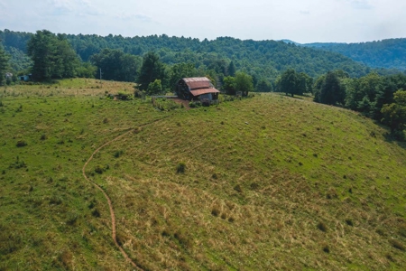 Land with Creek Frontage for Sale in Dugspur VA! - image 8