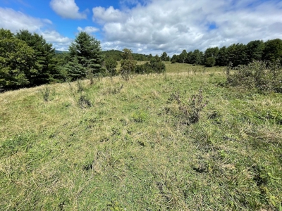 Land with Creek Frontage for Sale in Dugspur VA! - image 10