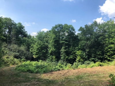 15 Acres Unrestricted Land in Erwin, TN For Sale - image 18