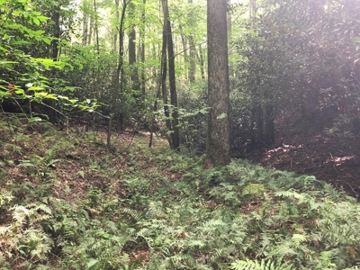 15 Acres Unrestricted Land in Erwin, TN For Sale - image 2