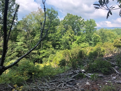 15 Acres Unrestricted Land in Erwin, TN For Sale - image 9