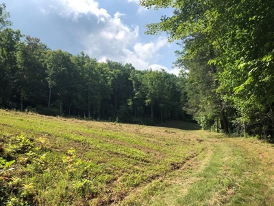 15 Acres Unrestricted Land in Erwin, TN For Sale - image 12