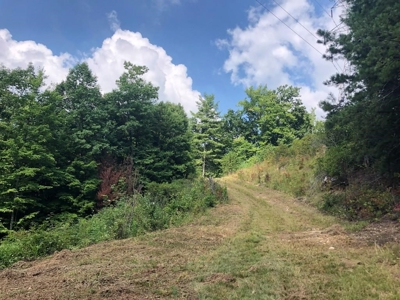 15 Acres Unrestricted Land in Erwin, TN For Sale - image 16