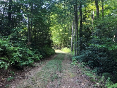 15 Acres Unrestricted Land in Erwin, TN For Sale - image 14