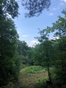 15 Acres Unrestricted Land in Erwin, TN For Sale - image 24