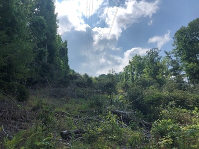 15 Acres Unrestricted Land in Erwin, TN For Sale - image 13
