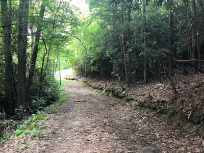 15 Acres Unrestricted Land in Erwin, TN For Sale - image 5