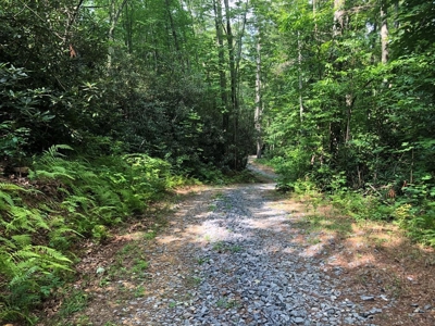 15 Acres Unrestricted Land in Erwin, TN For Sale - image 26