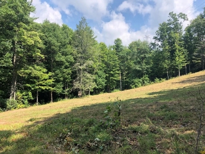 15 Acres Unrestricted Land in Erwin, TN For Sale - image 10
