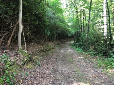 15 Acres Unrestricted Land in Erwin, TN For Sale - image 6