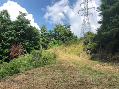 15 Acres Unrestricted Land in Erwin, TN For Sale - image 17