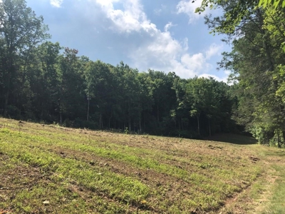 15 Acres Unrestricted Land in Erwin, TN For Sale - image 11