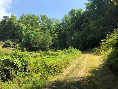15 Acres Unrestricted Land in Erwin, TN For Sale - image 15