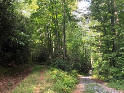 15 Acres Unrestricted Land in Erwin, TN For Sale - image 25