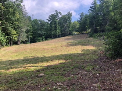 15 Acres Unrestricted Land in Erwin, TN For Sale - image 8