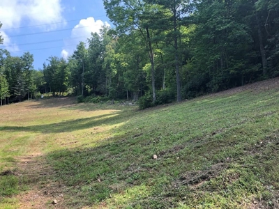 15 Acres Unrestricted Land in Erwin, TN For Sale - image 7
