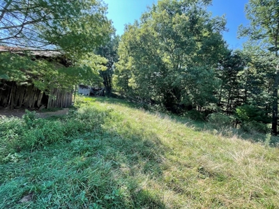 Building Land for Sale in Dugspur VA! - image 10