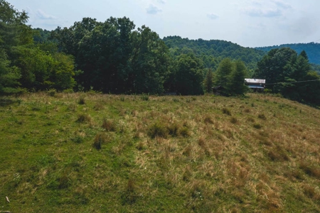 Building Land for Sale in Dugspur VA! - image 4