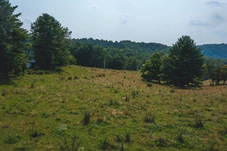 Building Land for Sale in Dugspur VA! - image 2