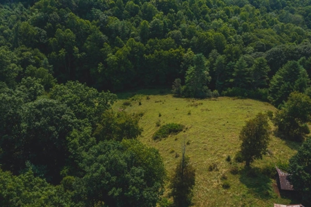 Building Land for Sale in Dugspur VA! - image 5