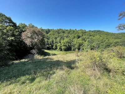 Building Land for Sale in Dugspur VA! - image 12