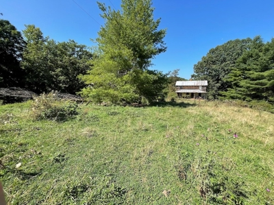 Building Land for Sale in Dugspur VA! - image 9