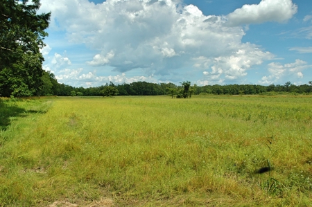 691 Acre High Fence Hunting Property for Sale 2 Lodges LA - image 28