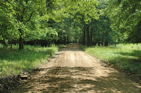 691 Acre High Fence Hunting Property for Sale 2 Lodges LA - image 27
