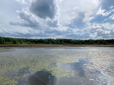 691 Acre High Fence Hunting Property for Sale 2 Lodges LA - image 1