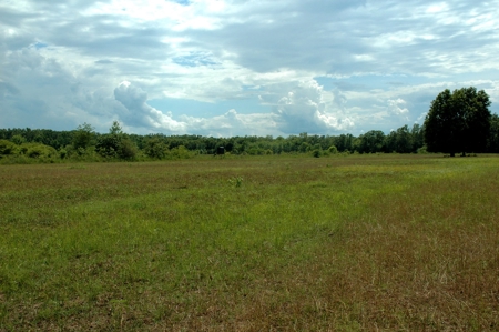 691 Acre High Fence Hunting Property for Sale 2 Lodges LA - image 16