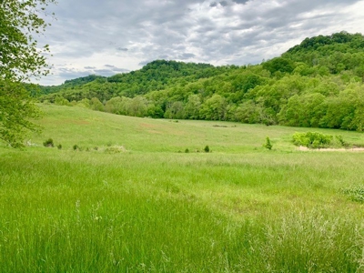 3850 Ensor Hollow Rd, Buffalo Valley TN Land for sale - image 5