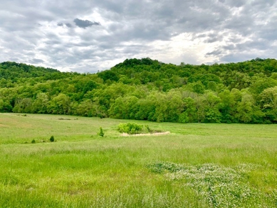 3850 Ensor Hollow Rd, Buffalo Valley TN Land for sale - image 6