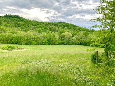 3850 Ensor Hollow Rd, Buffalo Valley TN Land for sale - image 1