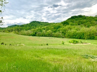 3850 Ensor Hollow Rd, Buffalo Valley TN Land for sale - image 3