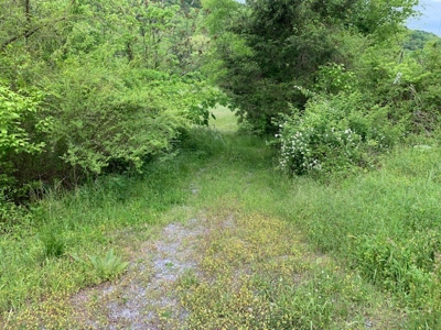 3850 Ensor Hollow Rd, Buffalo Valley TN Land for sale - image 2