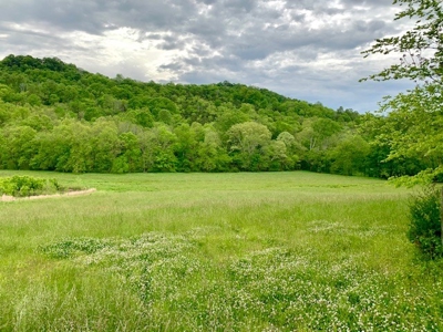 3850 Ensor Hollow Rd, Buffalo Valley TN Land for sale - image 4