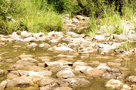 716 Acres Land for Sale on the Big Black River Woodville, MS - image 18