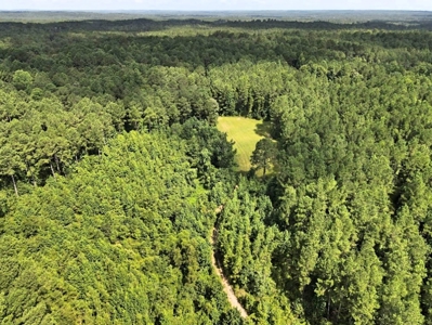 716 Acres Land for Sale on the Big Black River Woodville, MS - image 34
