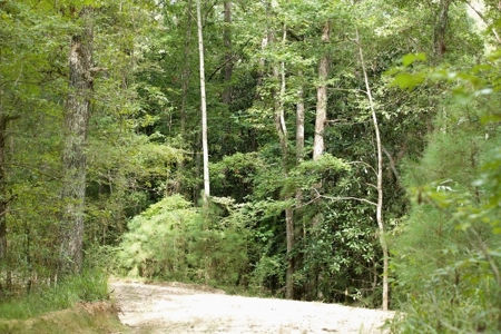 716 Acres Land for Sale on the Big Black River Woodville, MS - image 16