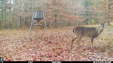 716 Acres Land for Sale on the Big Black River Woodville, MS - image 41