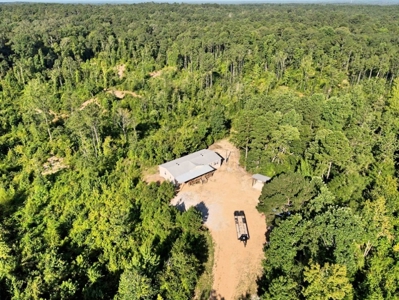 716 Acres Land for Sale on the Big Black River Woodville, MS - image 24
